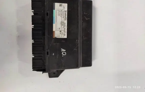 Ford Focus Comfort/convenience module AV6N19G481AK 5WK49778L