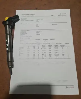 KIA Carnival Fuel injector 0445116018 09120