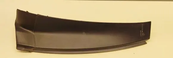 Rear/tail light trim molding