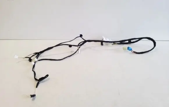 Front door wiring loom