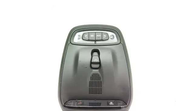 Volvo XC40 Front seat light 31419483 H5PLA 24012020