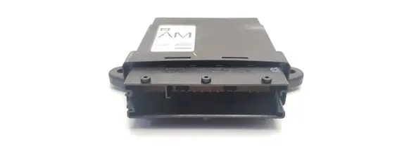 Opel Signum Door control unit/module 13111457