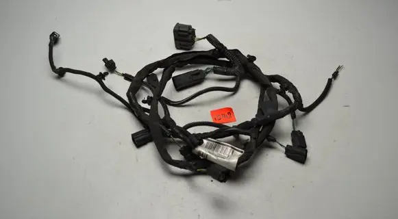 Other wiring loom