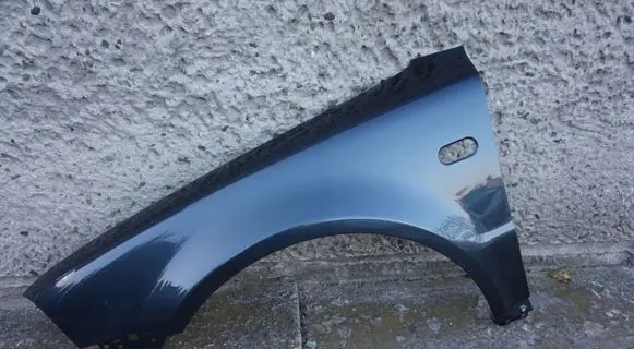 Volkswagen PASSAT B5.5 Fender 