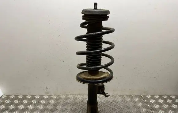 Peugeot 307 Front shock absorber with coil spring