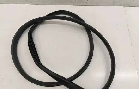 Rear door rubber seal (on body)