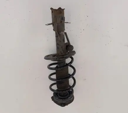 Nissan Leaf II (ZE1) Front shock absorber with coil spring
