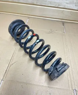 Hyundai Kona I Rear coil spring 55370C1100
