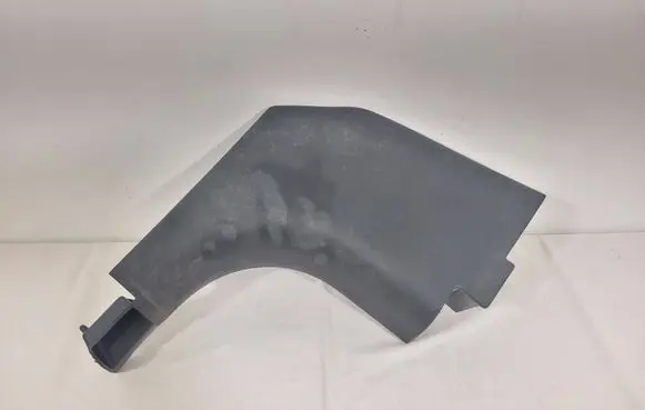 Renault Laguna III Front sill trim cover 768360001r MP6070