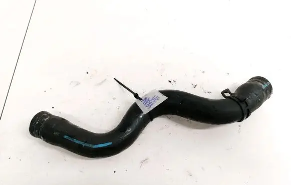 Renault Scenic I Engine coolant pipe/hose
