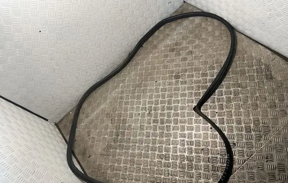 SsangYong Actyon Front door rubber seal 