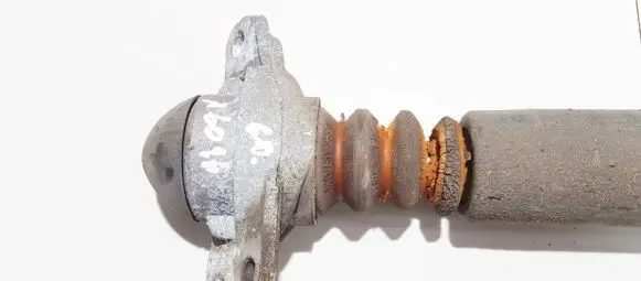 Coil spring mount