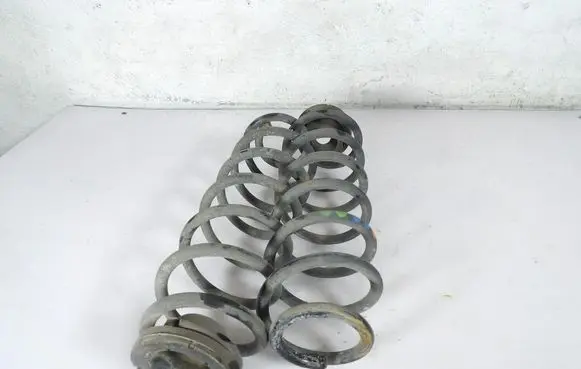 Skoda Fabia Mk3 (NJ) Rear coil spring