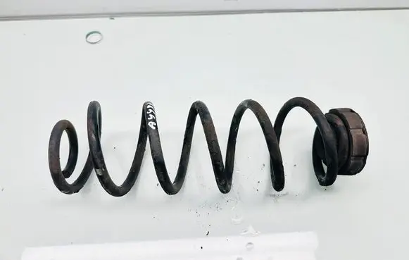 Rear coil spring