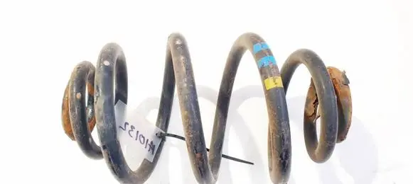 Rear coil spring