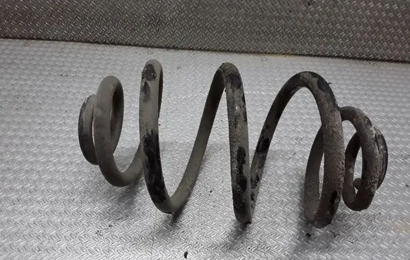 Volkswagen PASSAT B5.5 Rear coil spring