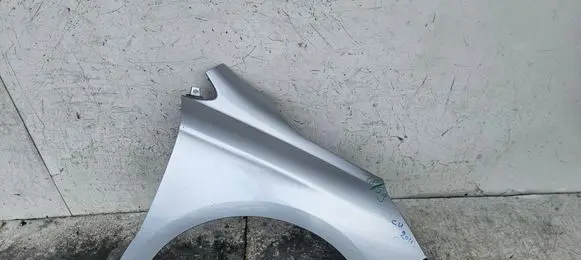 Citroen C4 II Fender 