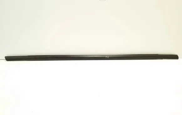 Ford Ecosport Front door glass trim molding