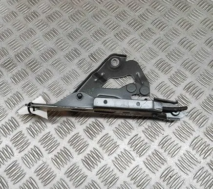 Audi E-tron GT Engine bonnet/hood hinges 4J3823295A