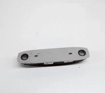 Tesla Model 3 Front seat light 109257400C