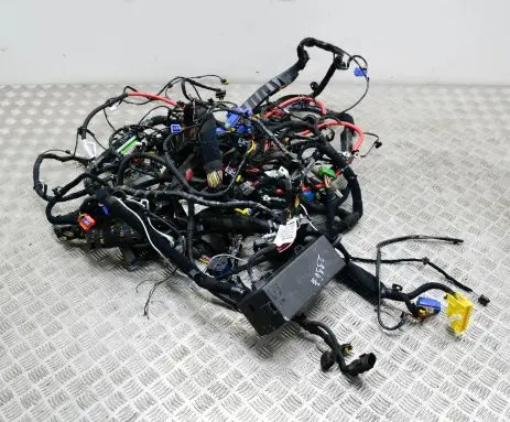 Maserati Ghibli Other wiring loom 06700065540 670008598