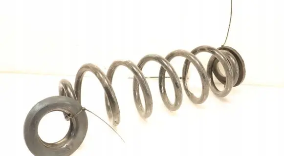 Lexus NX Coil spring/strut mount 