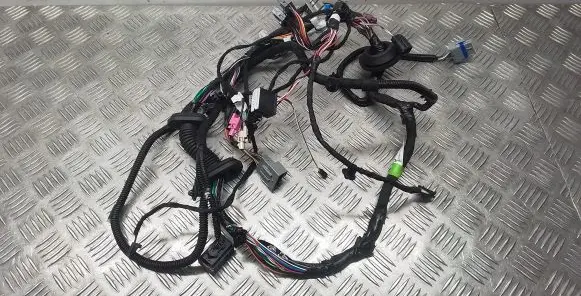 Tesla Model S Front door wiring loom 100442401U
