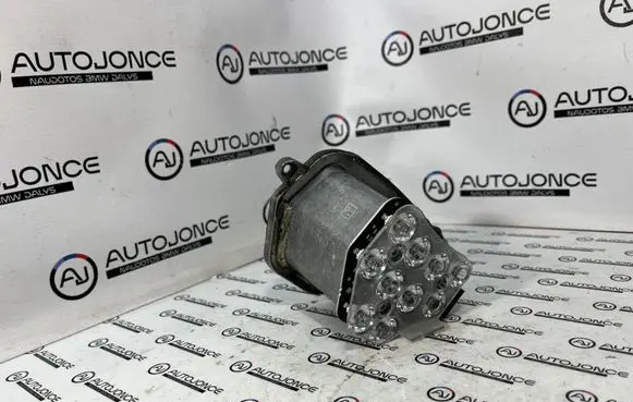BMW 5 F10 F11 Front indicator light 17173802 AJ291010