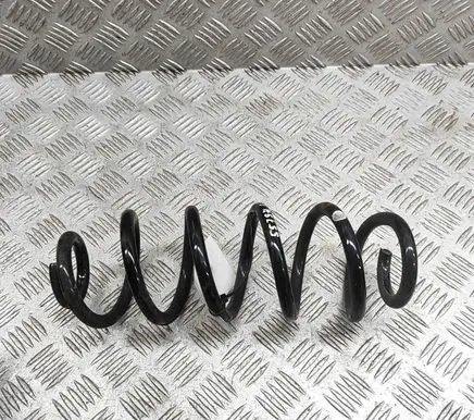 Renault Austral Rear coil spring 550209312R