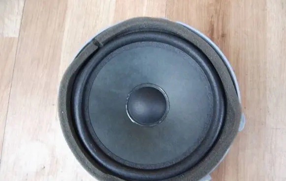 Front door speaker