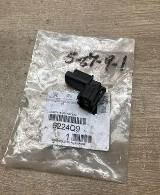 Citroen DS3 Fog light bulb 6224Q9