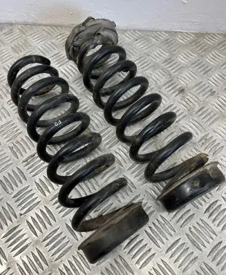 Rear coil spring