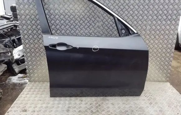 BMW X5 F15 Front door