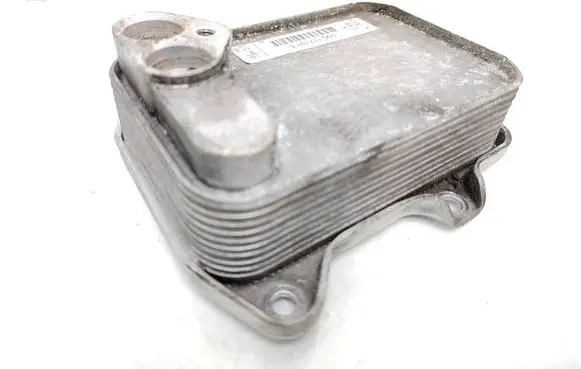 Volkswagen PASSAT B6 Engine oil radiator 03C117021E