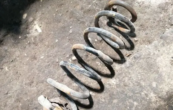 Rear coil spring