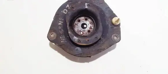 Coil spring mount