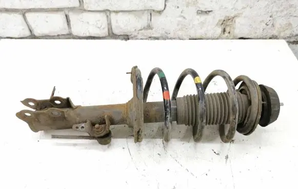 Hyundai i20 (PB PBT) Front shock absorber with coil spring