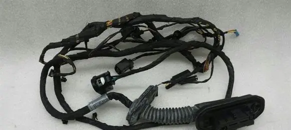 BMW 5 GT F07 Rear door wiring loom 9210135