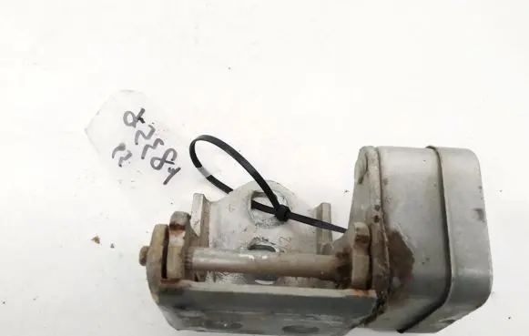 Renault Scenic II - Grand scenic II Rear door lower hinge