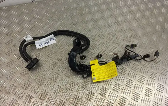 BMW X1 F48 F49 Fuel injector wires 