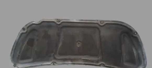 Hyundai Veloster Engine bonnet/hood sound/heat insulation 
