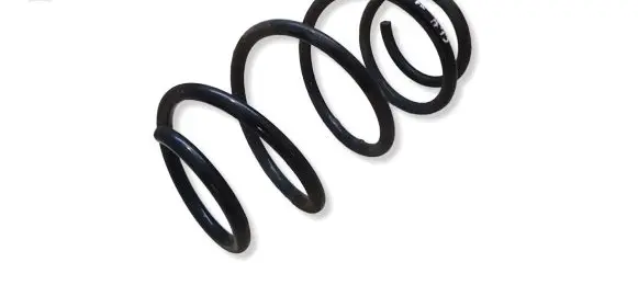 Nissan Leaf II (ZE1) Front coil spring 