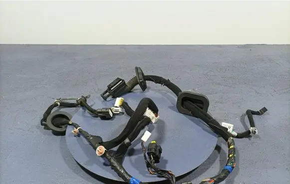 Other wiring loom