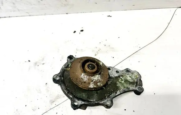 Citroen C3 Water pump