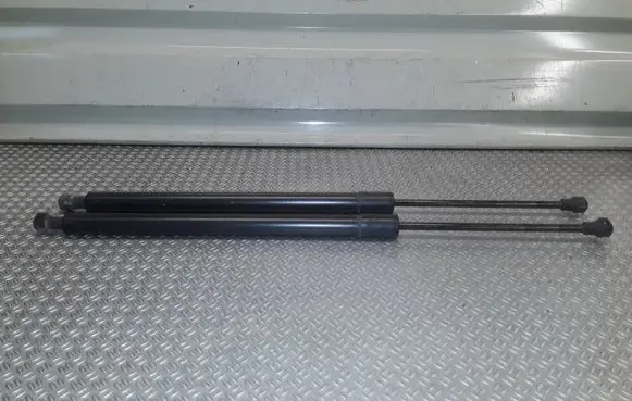 Tailgate/trunk strut/damper