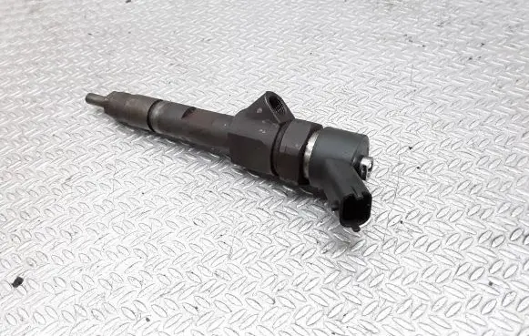 Renault Megane II Fuel injector 0445110110B