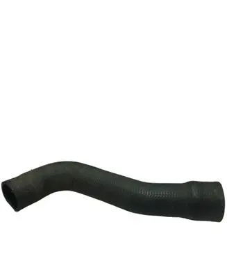 Volkswagen Sharan Engine coolant pipe/hose