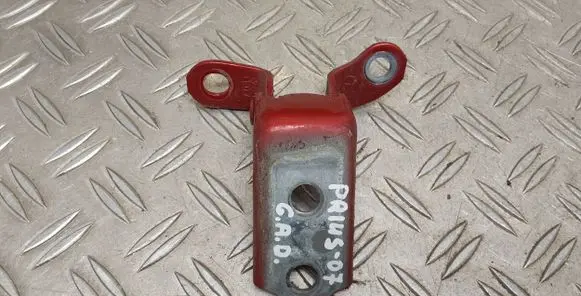 Rear door lower hinge