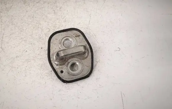 Citroen C4 I Front door lock loop/hook striker OXFORD
