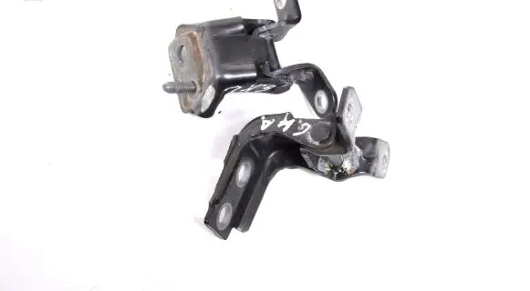 Rear door lower hinge